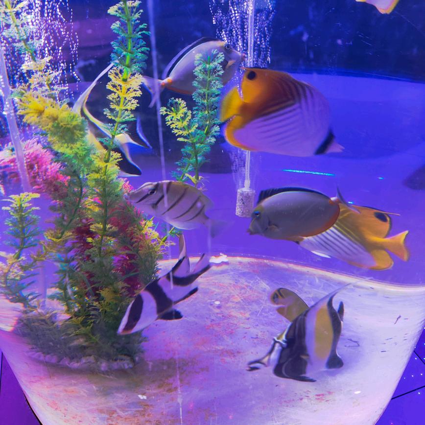 时光^~听风过海