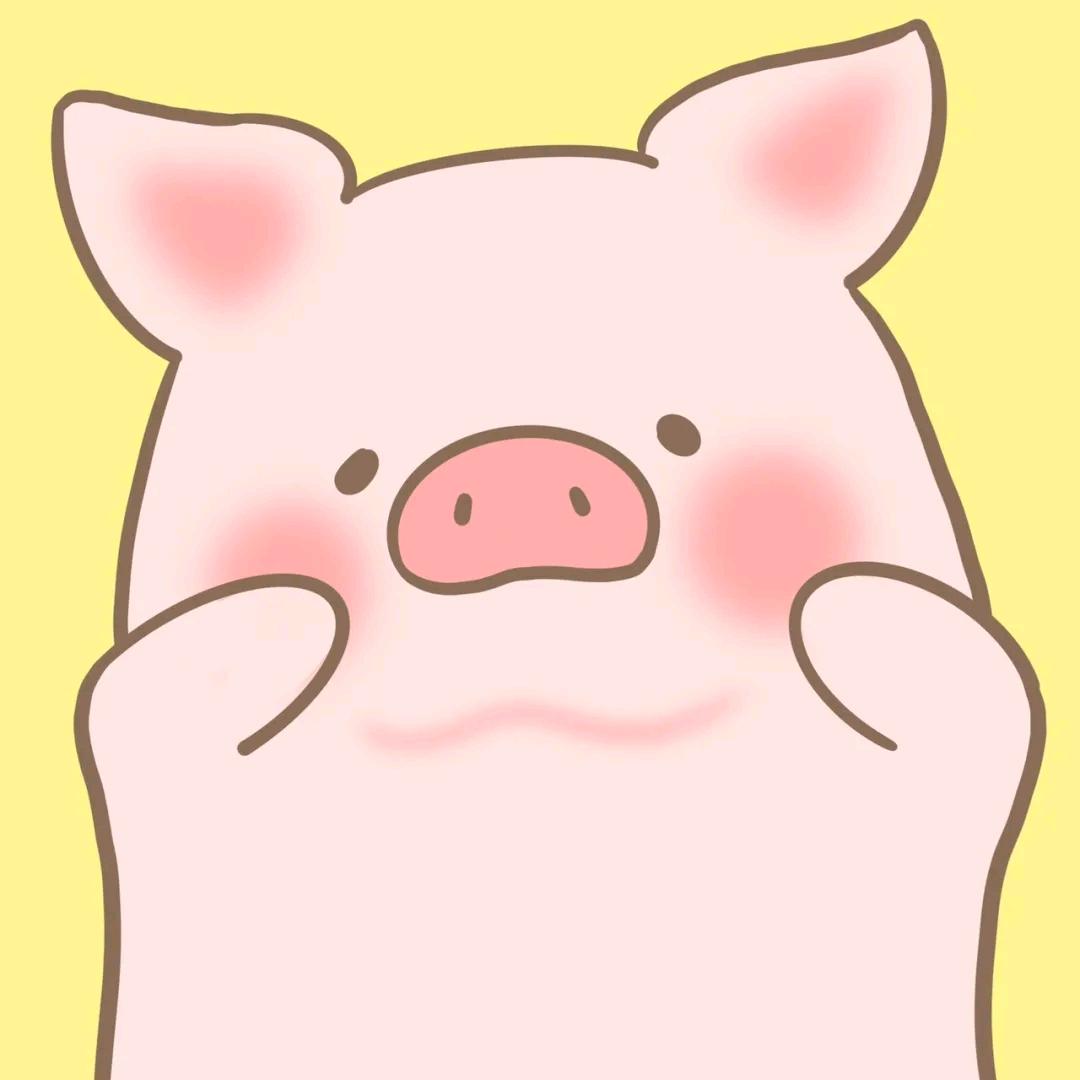 猪头