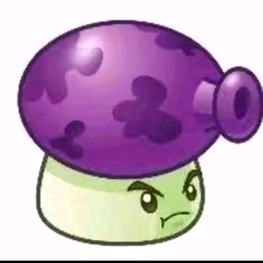 🟣 🟣 🟣 🟣 🟣 🟣 🟣
