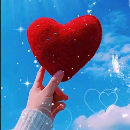 我只要一颗真心