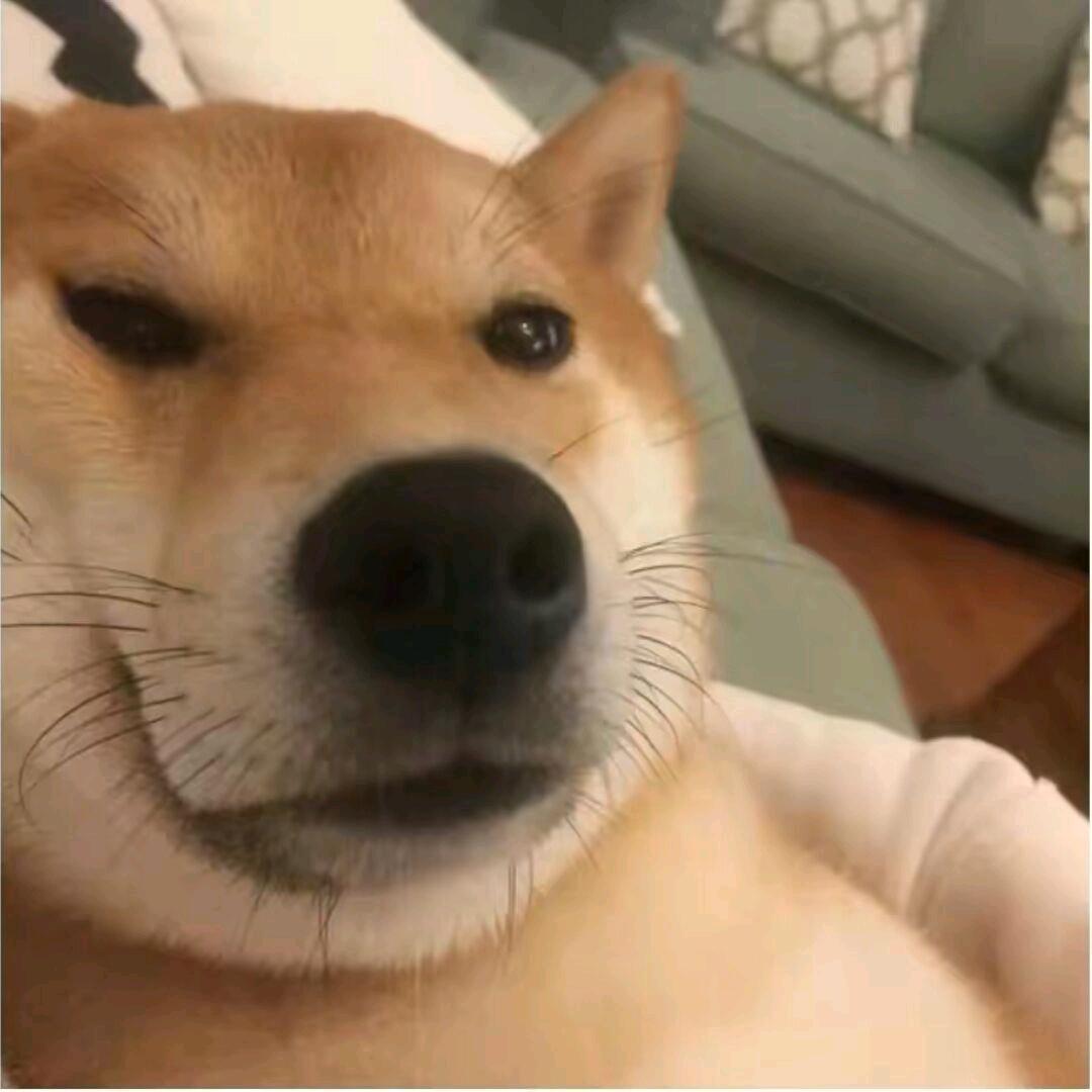 红小狼