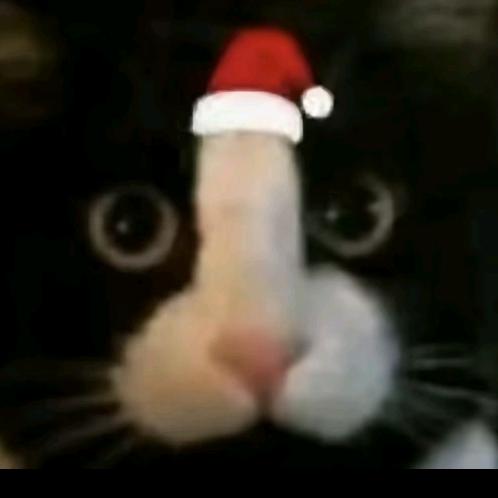 少年よ神話になれ