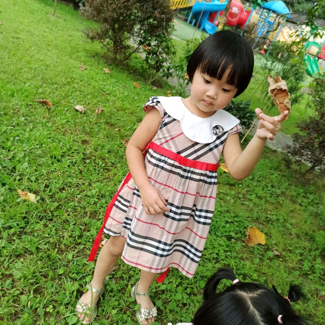 兰陵王妃