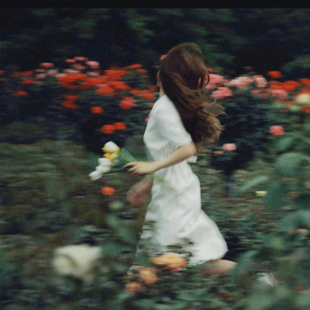 又见
