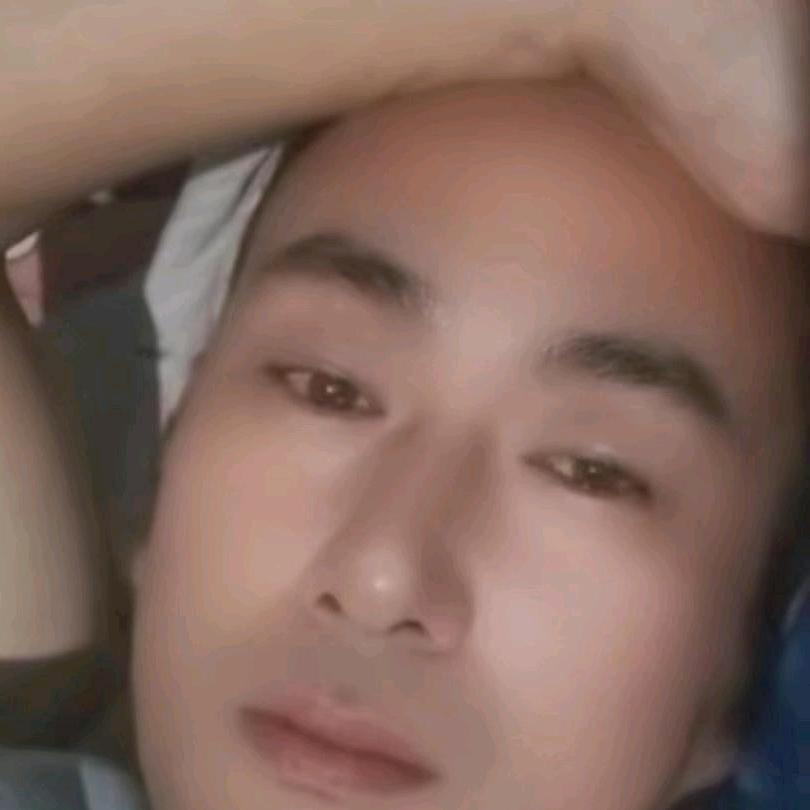 梦飞翔