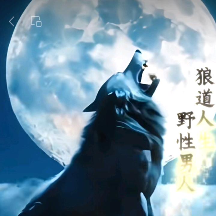 逗哥