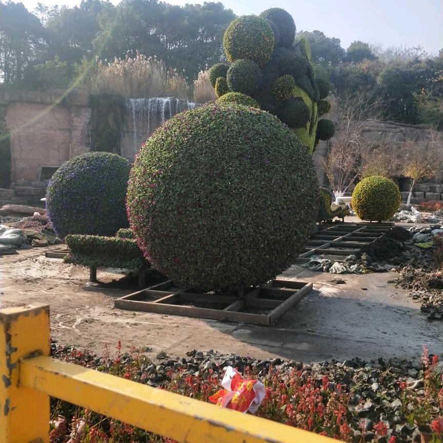什么是幸福