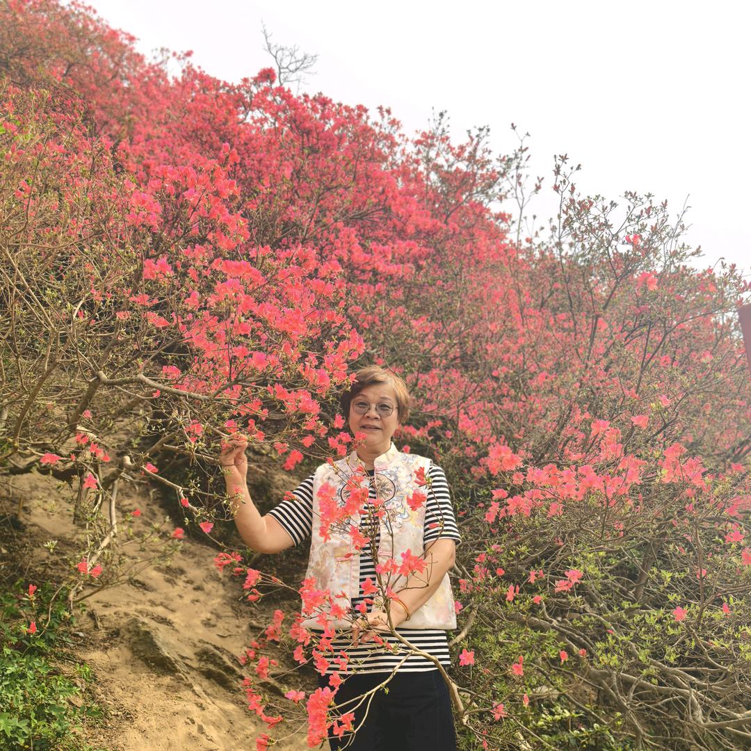 🐝喻姐🍀