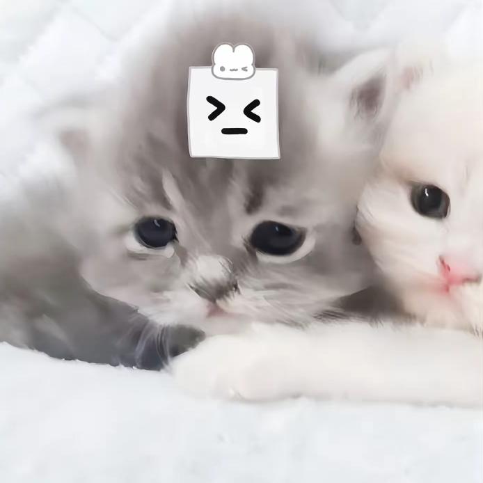 痛觉共频