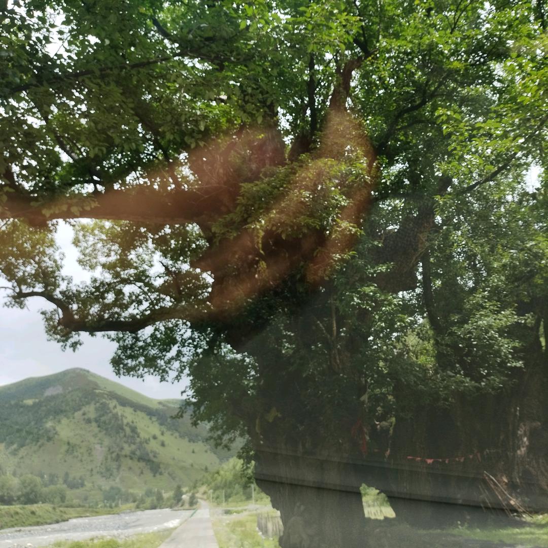 让心归零