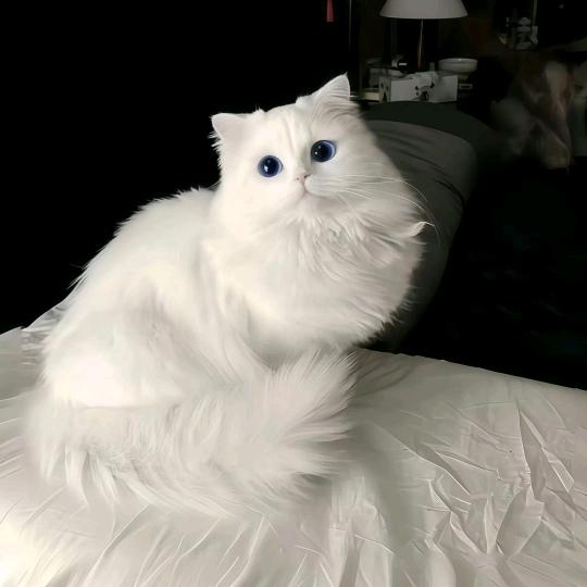 吃个夜宵嘿嘿嘿