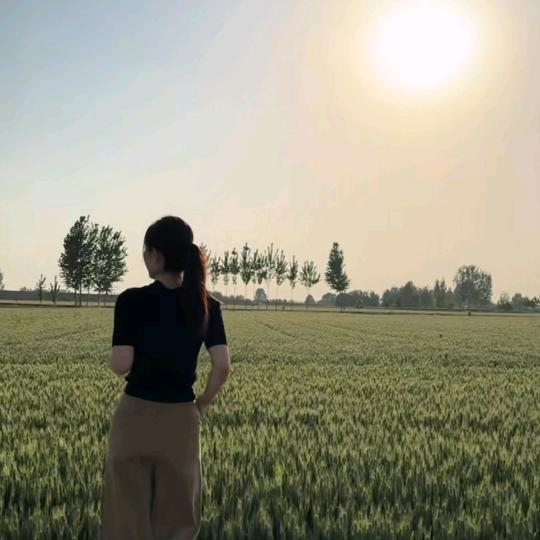忘忧草