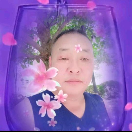 《老何》柴犬养殖场