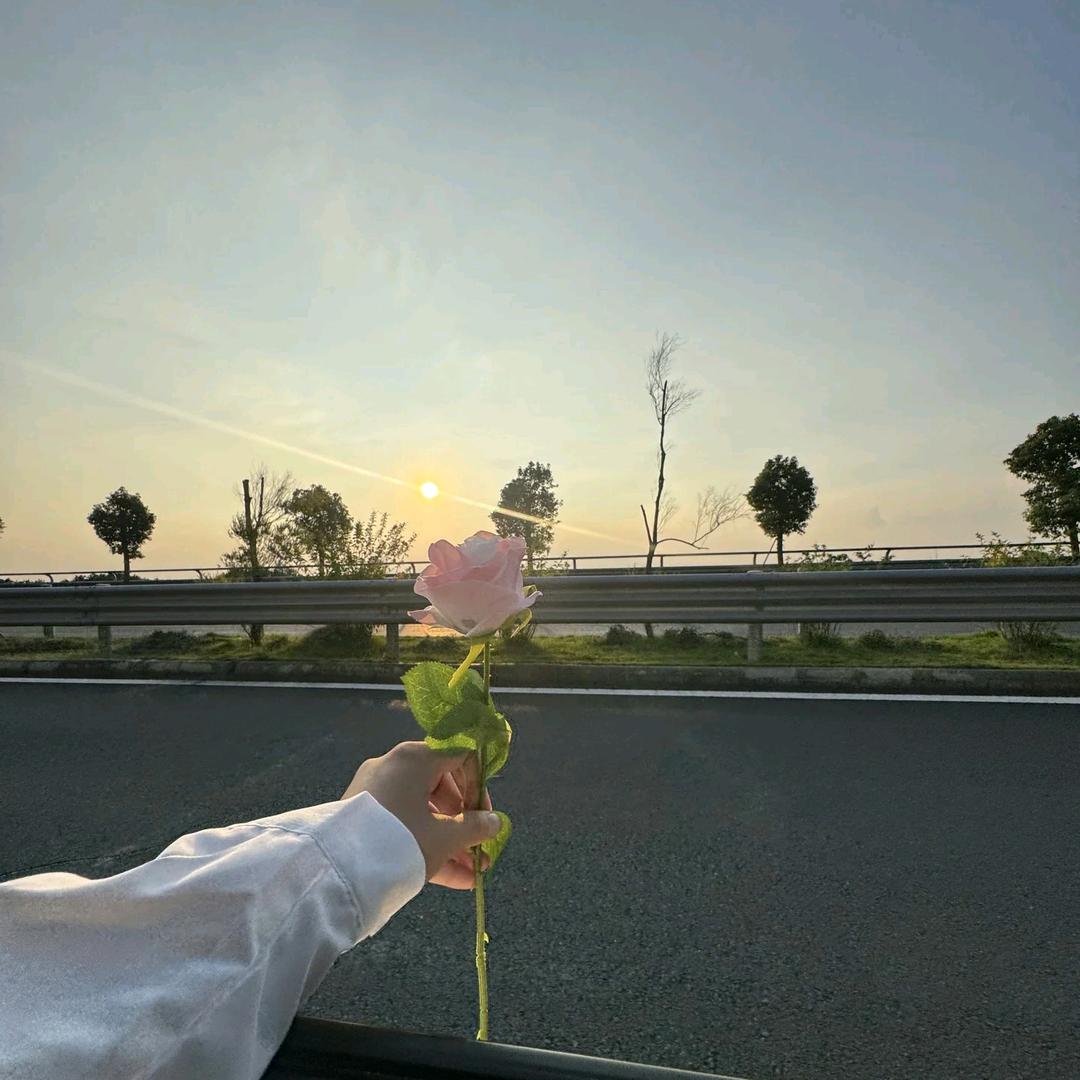 桂芬i