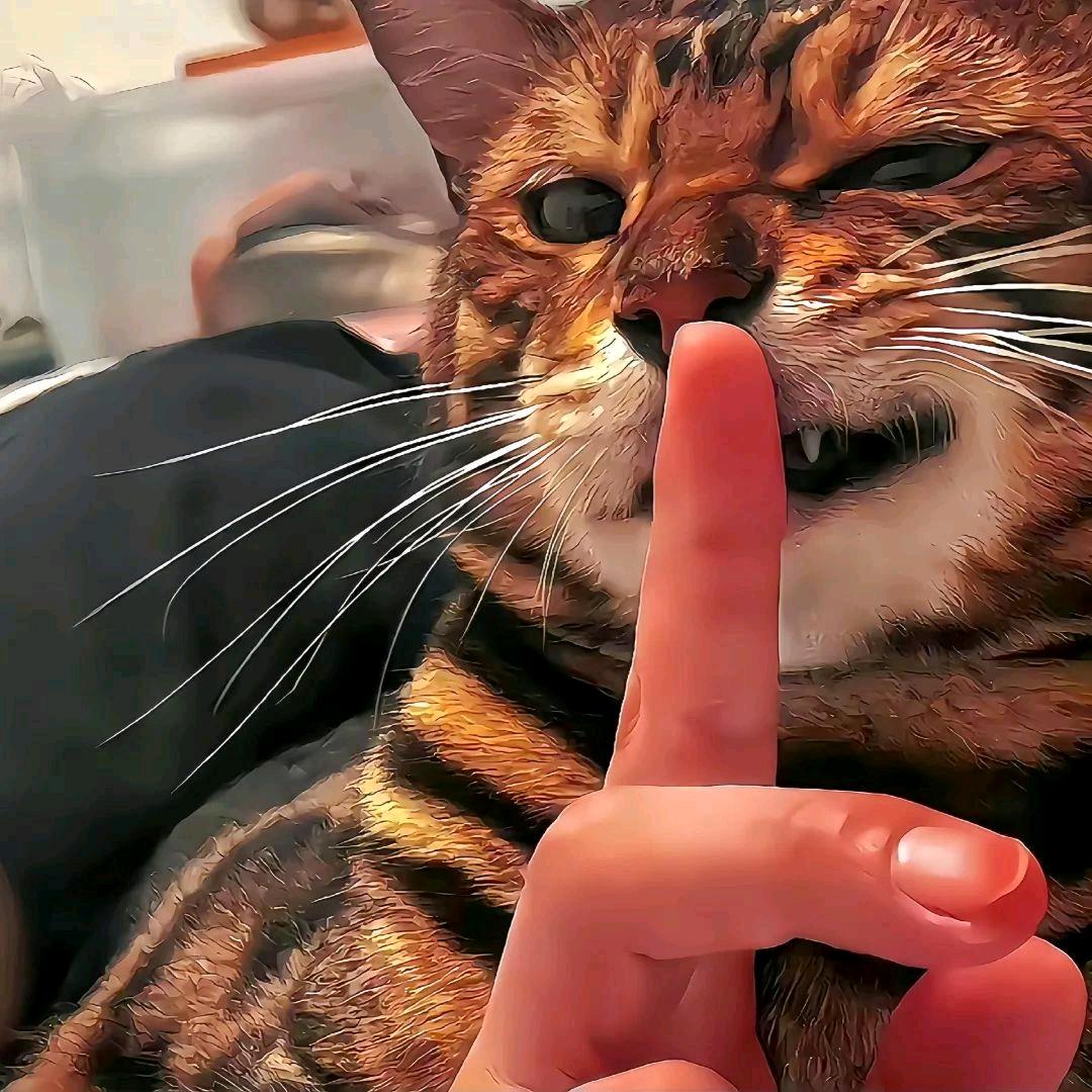 小楼一夜听春雨