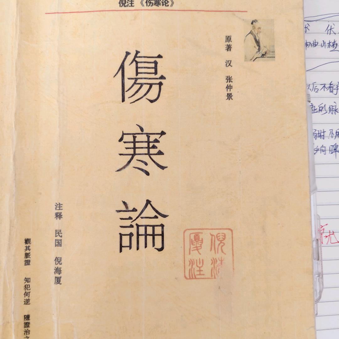 禅静
