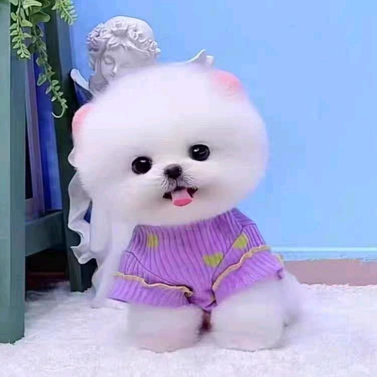 吴艺洋