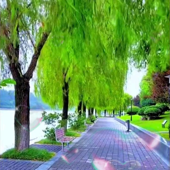 碧海蓝天
