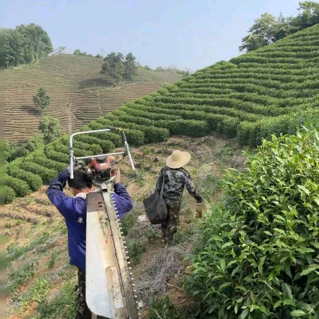 瑞茗香茶厂