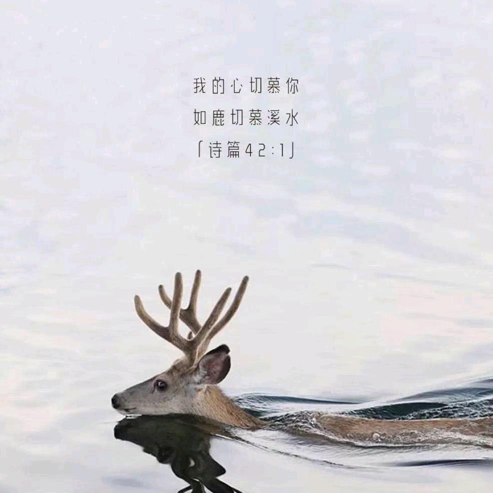 浮桥井文搬运