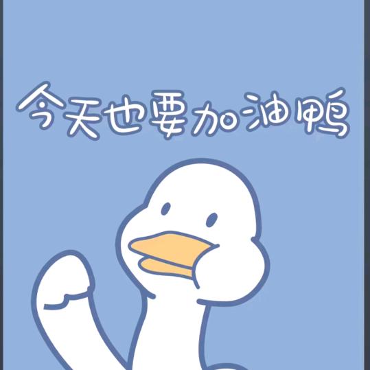 小马马