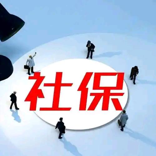 山东社保小丽