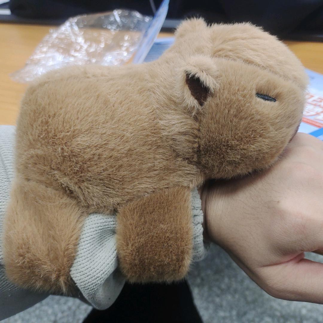 财神保佑我头像