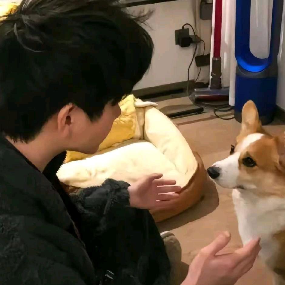 等流年