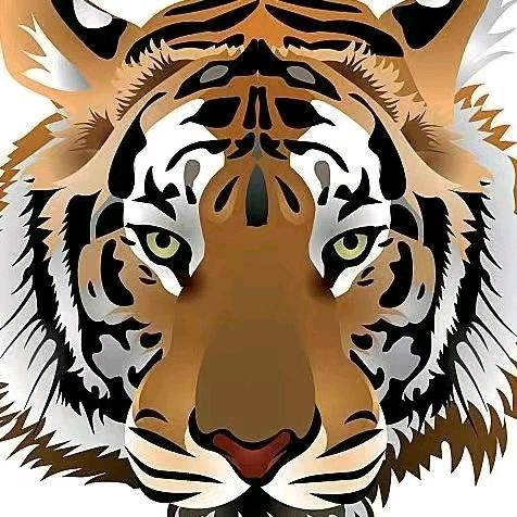 🐉行天下🐉雪山飞狐