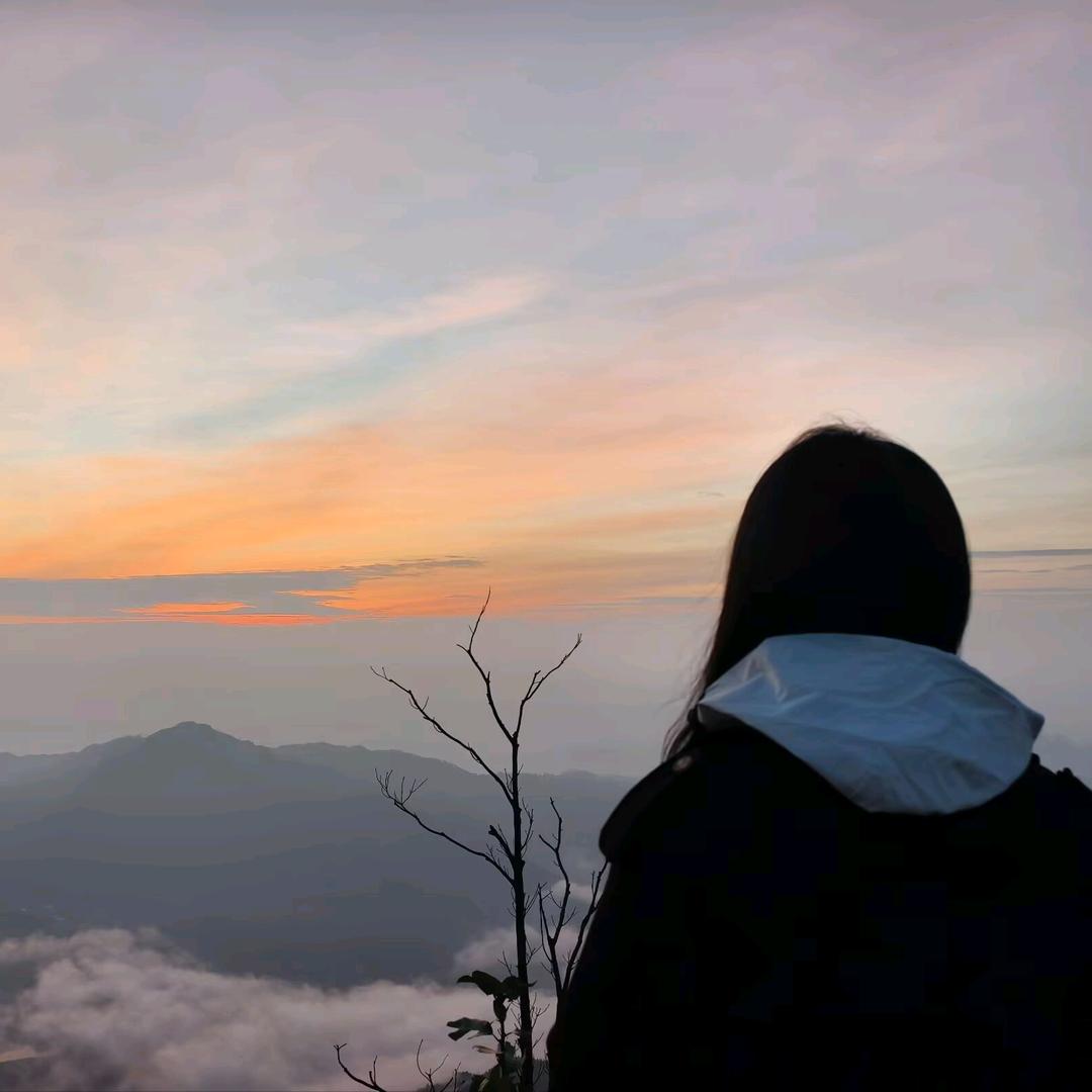 小杜不在服务区