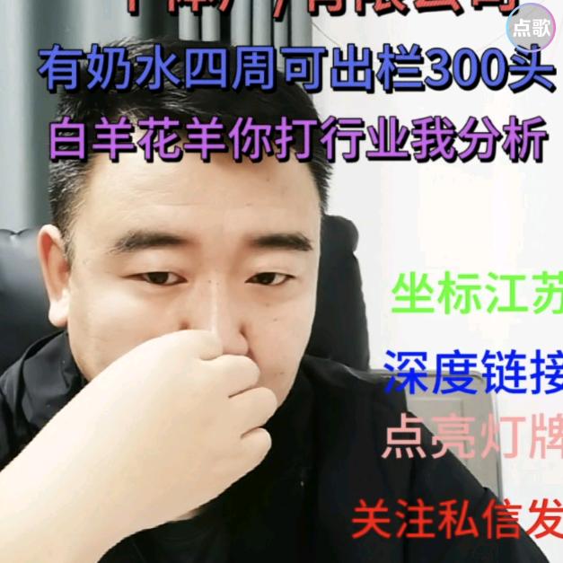 雷哥