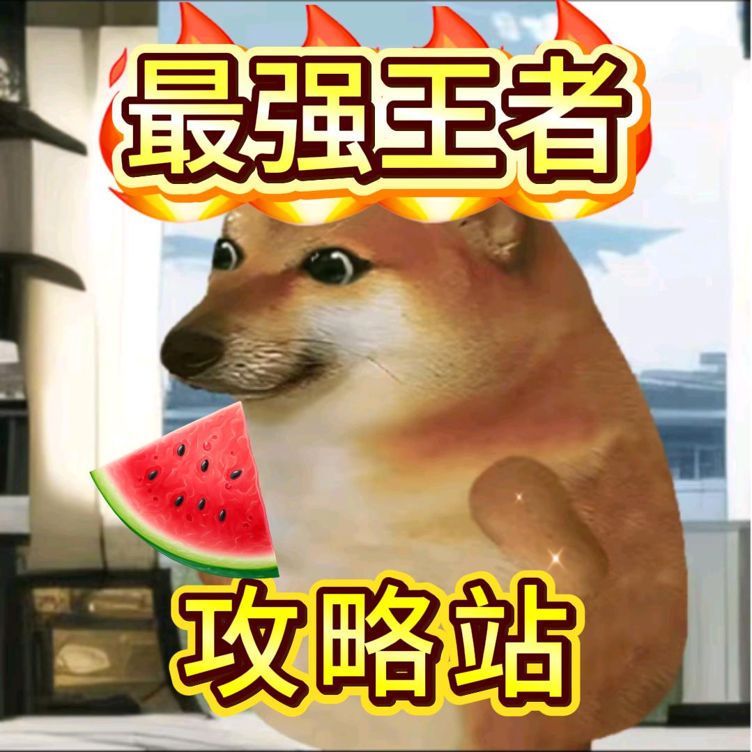 最强斗王~西瓜