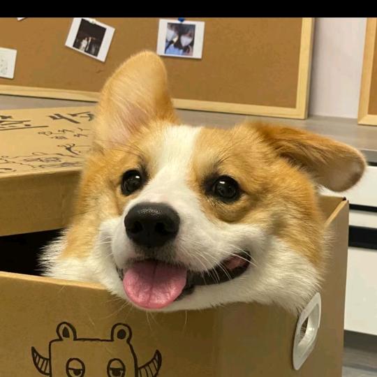 霖仔炒粉