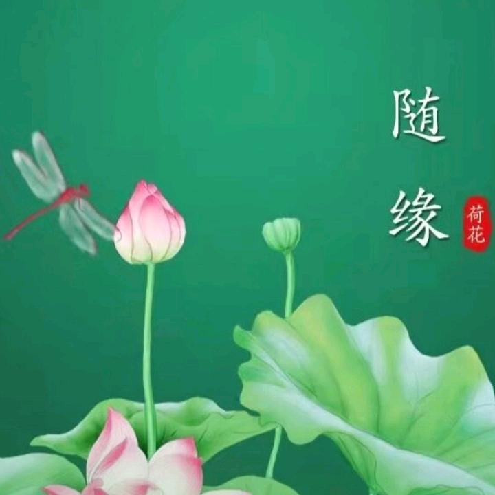 露