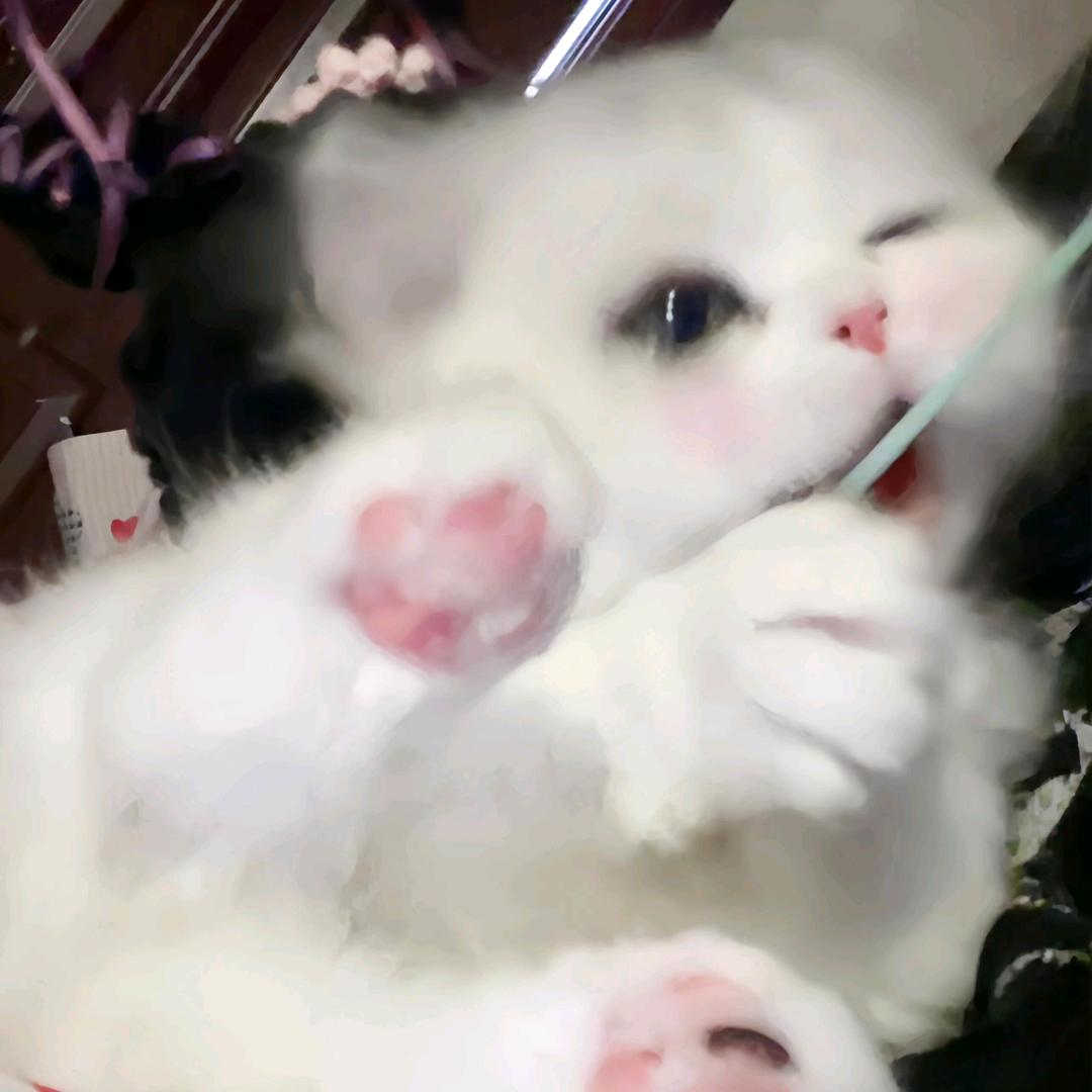 你也想吃蟹黄包吗