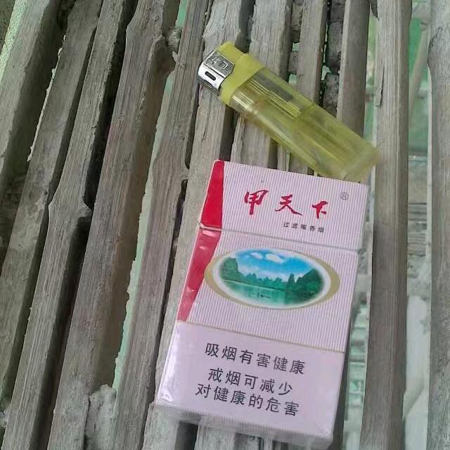 搞农业“”牧牛人