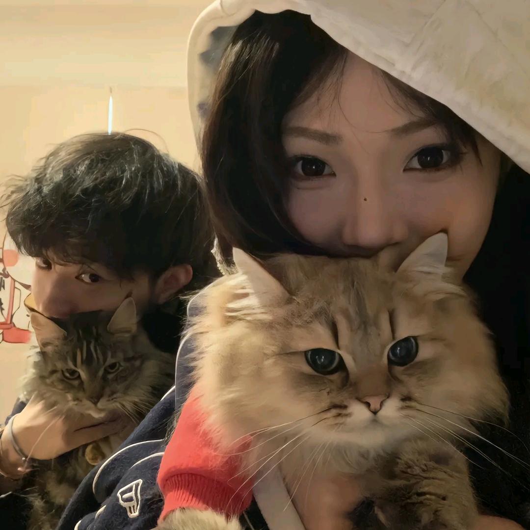 笨蛋比个耶❛˓◞˂̵✧