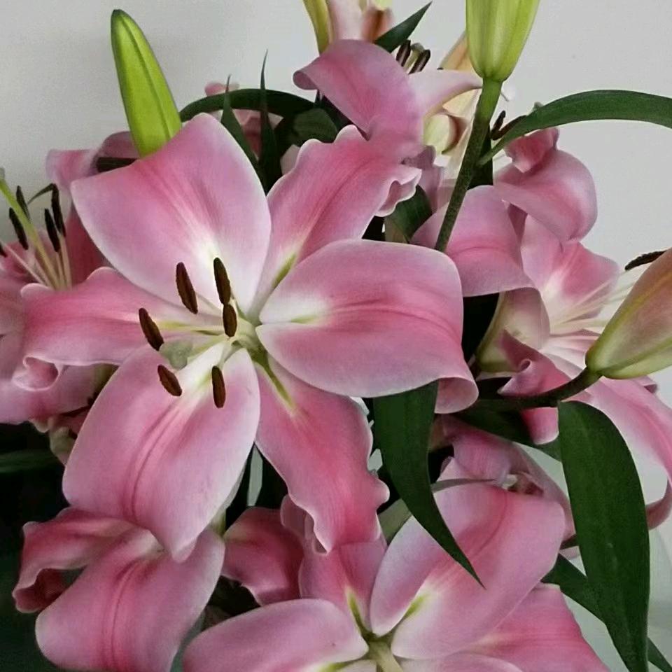 独来独往，，，，