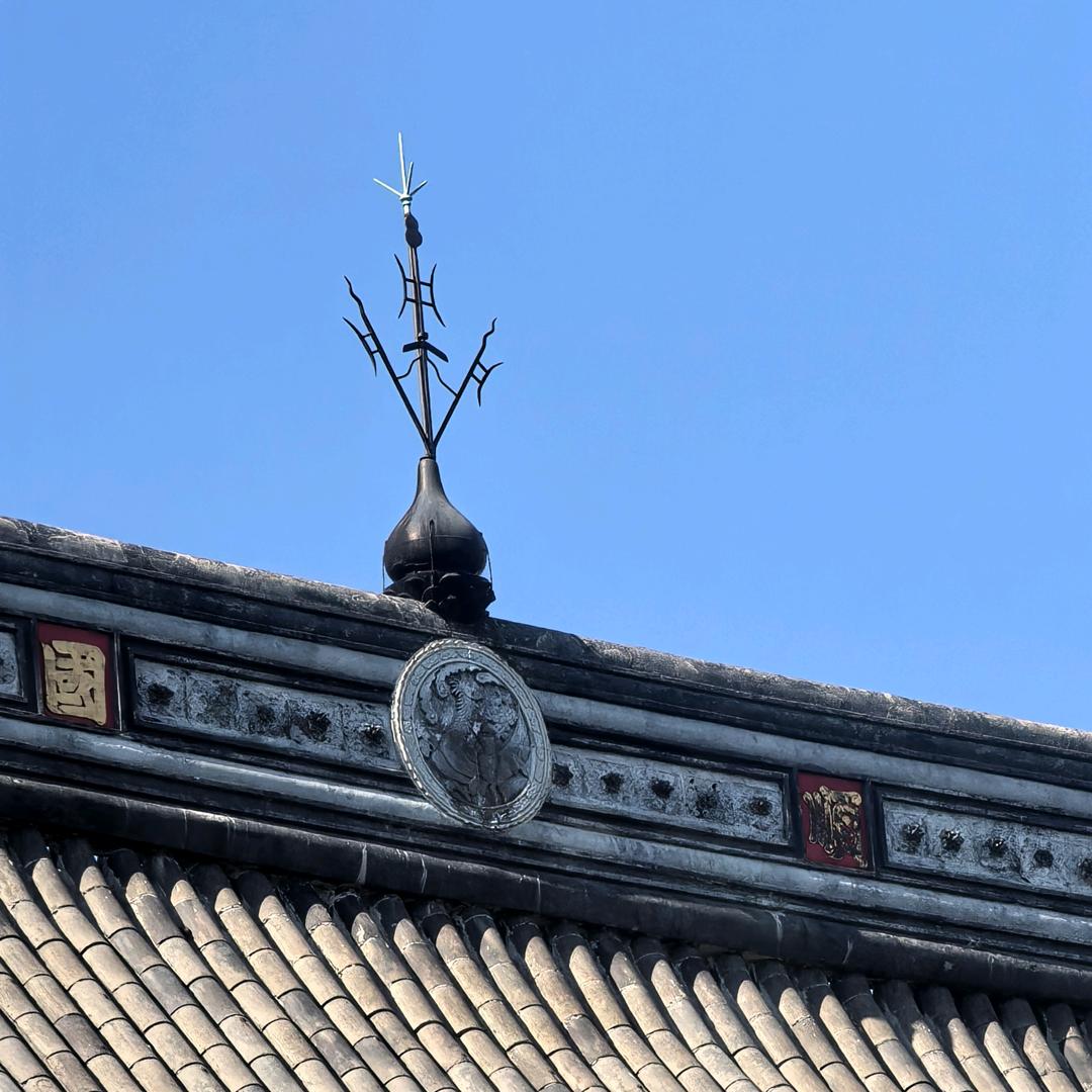 陈沫