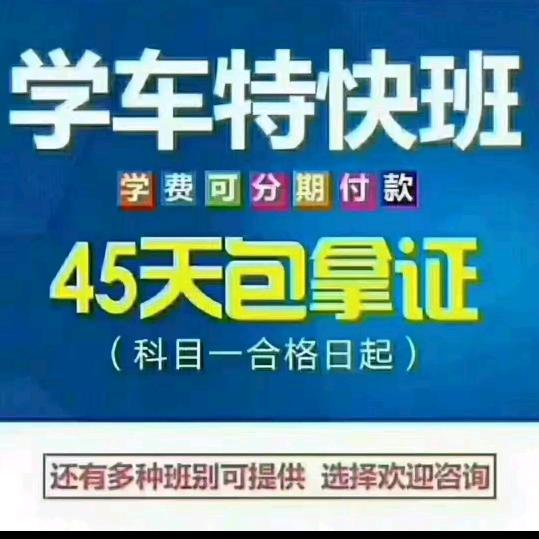 驾考达人