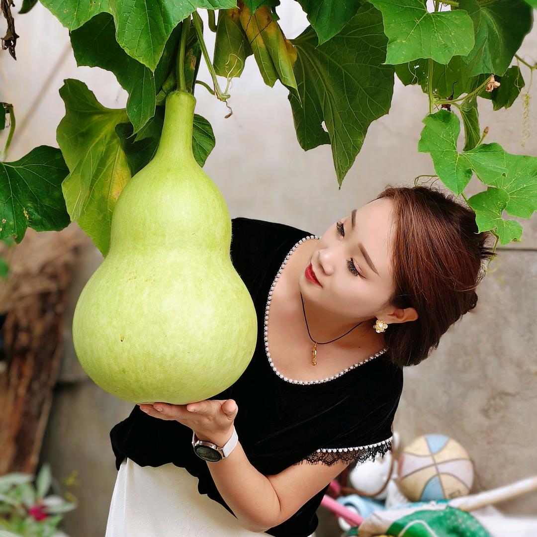 明天会更好（刘萍）