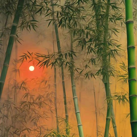 念安✘（乘风破浪）