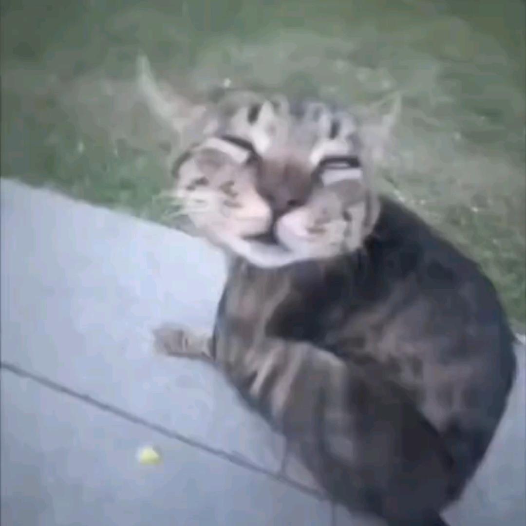 看不到就算了
