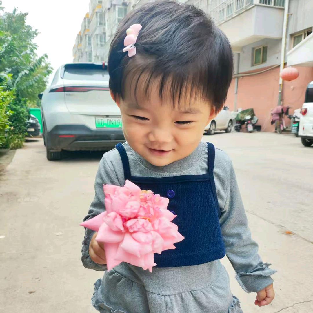 花🌸开半夏