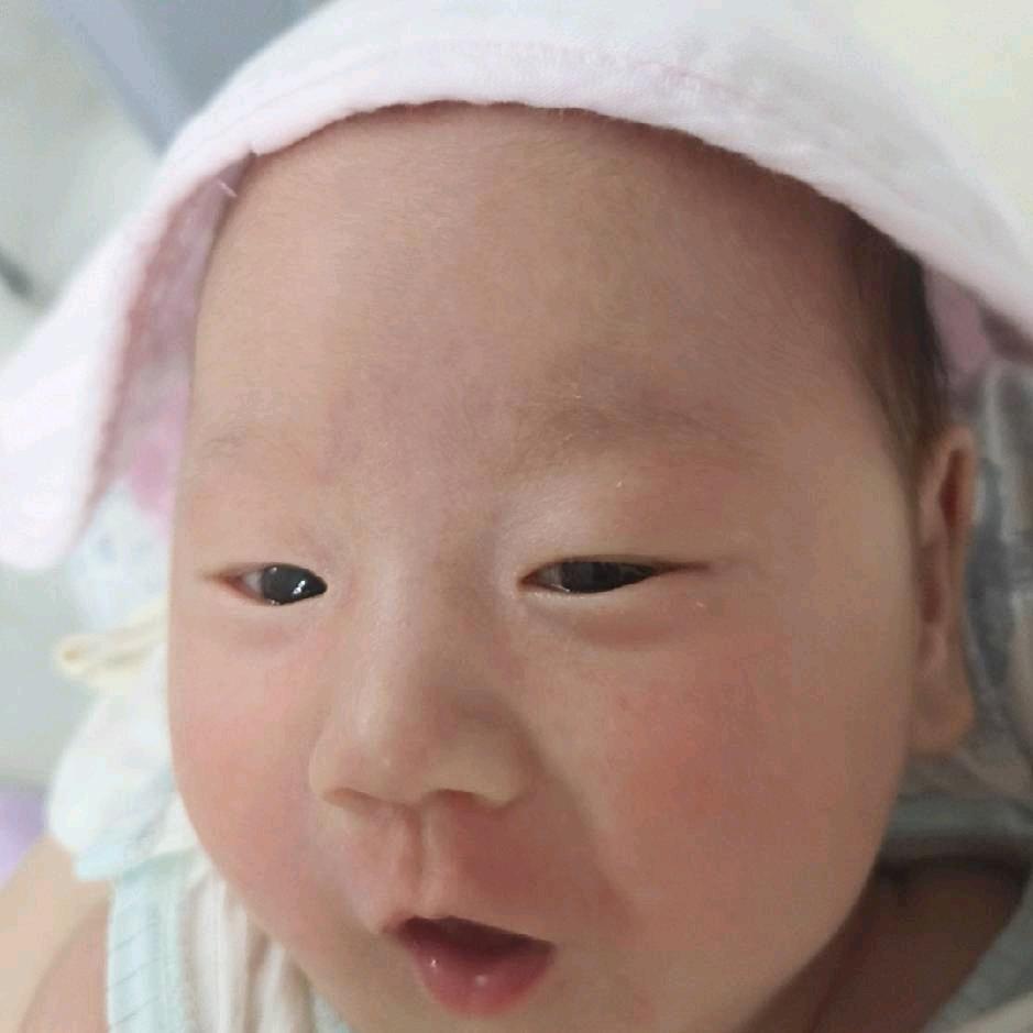 小黑土-.-