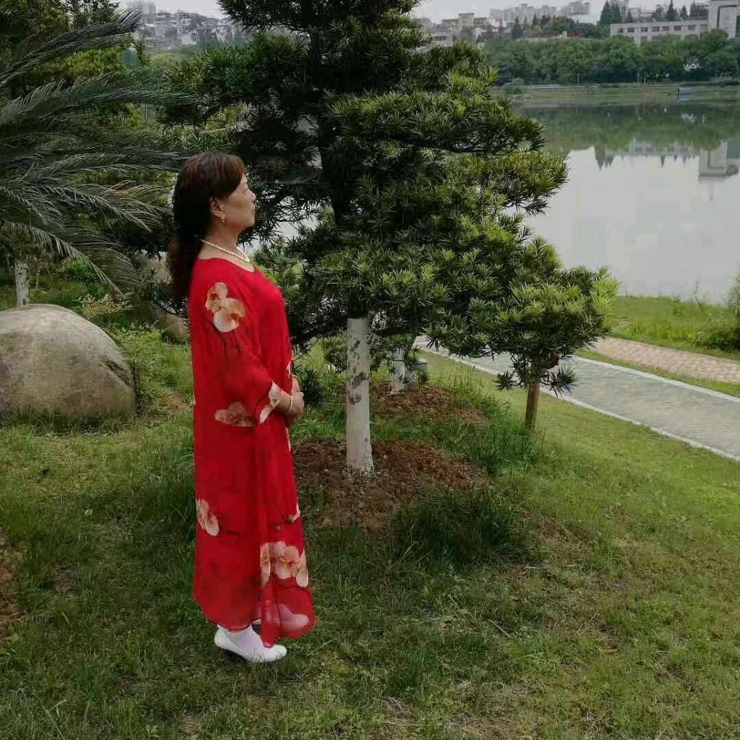 红红2020)