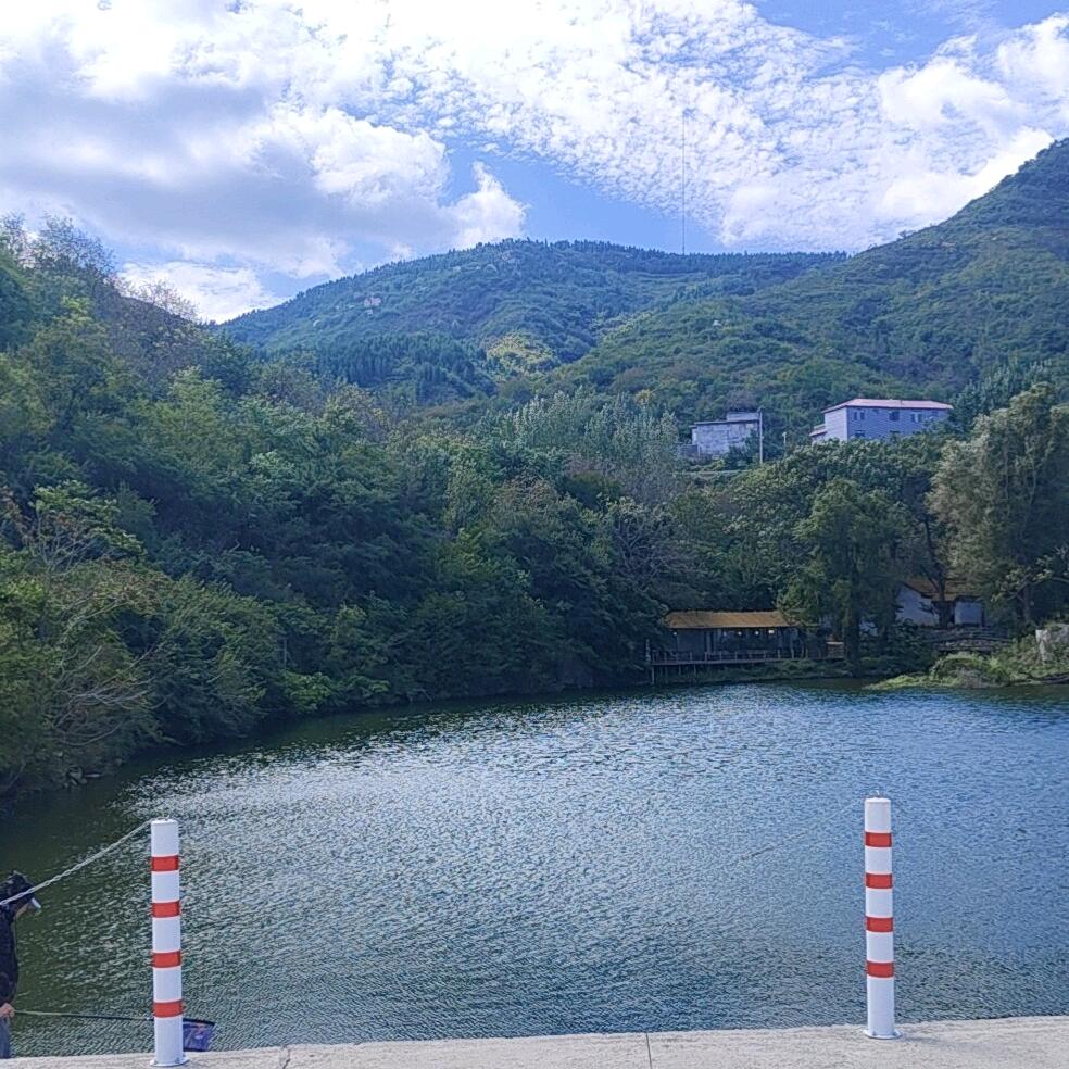 你好呀