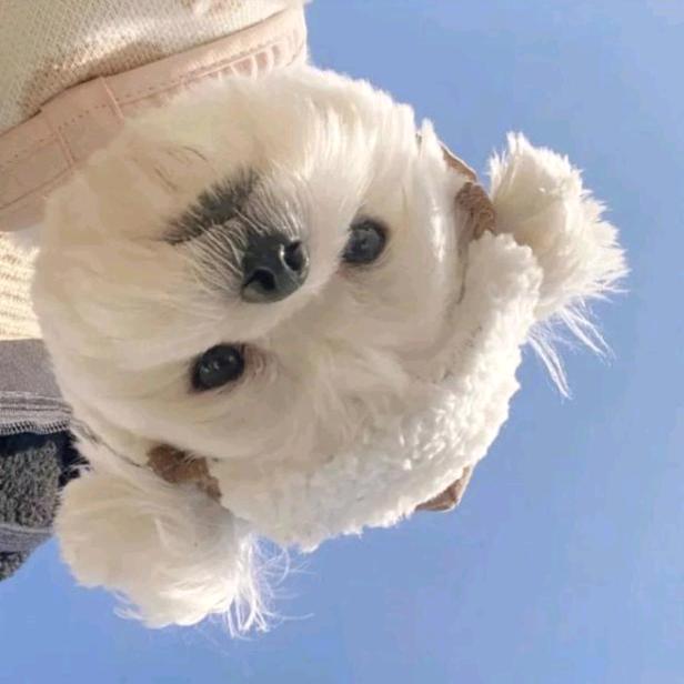 看到我叫我去剪视频