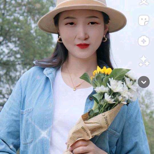 明月归