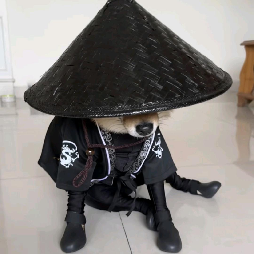 小空kk